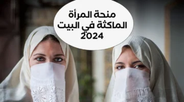 “800 دينار في ايدك”.. رابط التسجيل في منحة المرأة الماكثة في البيت 2024 بالجزائر عبر موقع الوكالة الوطنية والشروط اللازمة