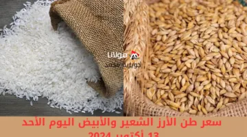 “الرفيع والعريض بكام”.. سعر طن الأرز الشعير والأبيض البلدي اليوم الأحد 13 أكتوبر 2024 في الأسواق والمحلات التجارية