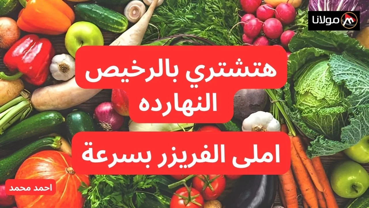 يا ترى انتي بكام يطماطم؟.. سعر الخضار اليوم الجمعه 11-10-2024.. أسعار الطماطم والبطاطس اليوم