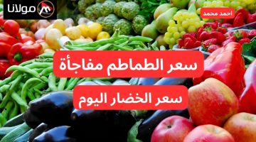 انخفاض مفاجئ في أسعار الأوطه.. سعر الخضار والطماطم اليوم الخميس 10-10-2024