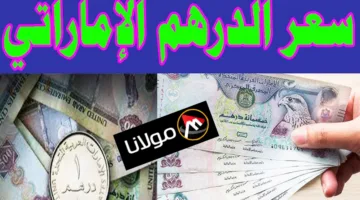 “الدرهم الإماراتي بكام”.. سعر الدرهم الاماراتي اليوم مقابل الجنيه المصري الجمعة 18 اكتوبر 2024