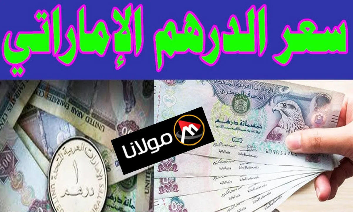 “الدرهم الإماراتي بكام”.. سعر الدرهم الاماراتي اليوم مقابل الجنيه المصري الجمعة 18 اكتوبر 2024