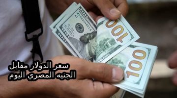 بكام أسعار الأخضر النهاردة… اخر تحديث سعر الدولار أمام الجنية المصري اليوم 7-10-2024 في جميع البنوك المصرية