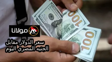 “بعد تثبيت الفائدة” ما هو سعر الدولار مقابل الجنيه المصري اليوم الجمعة 18 اكتوبر 2024 في البنوك المصرية