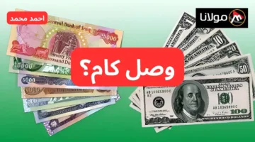 «الوقت طابگ للشراء».. سعر الدولار مقابل الدينار العراقي اليوم.. سعر صرف 100 دولار مفاجأة!