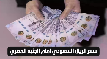 سعر الريال السعودي أمام الجنيه المصري اليوم السبت الموافق 5 أكتوبر 2024 يشاهد استقرارًا