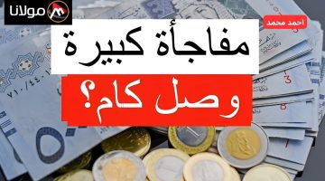 هتفك بكام؟.. سعر الريال السعودي اليوم الأربعاء مقابل الجنيه المصري 10 أكتوبر 2024