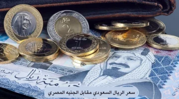 ” آخر التحديثات ” سعر الريال السعودي اليوم السبت 5 أكتوبر 2024 الأخضر السعودي بكام النهارده للبيع والشراء