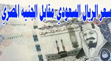 يا ترى بكام انهاردة؟ سعر الريال السعودي مقابل الجنيه المصري اليوم الإثنين 21 أكتوبر 2024