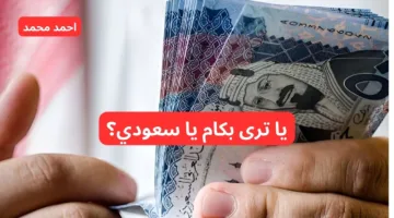 يا ترى هتفك بكام؟.. سعر الريال السعودي مقابل الجنيه المصري اليوم الأحد 13-10-2024 يخالف التوقعات