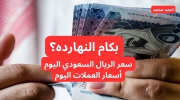 بكام النهارده؟ سعر الريال السعودي مقابل الجنيه المصري اليوم الاثنين 7-10-2024