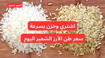 “مفاجأة سارة”.. سعر طن الأرز الشعير اليوم الاثنين 14-10-2024.. أسعار السلع الغذائية