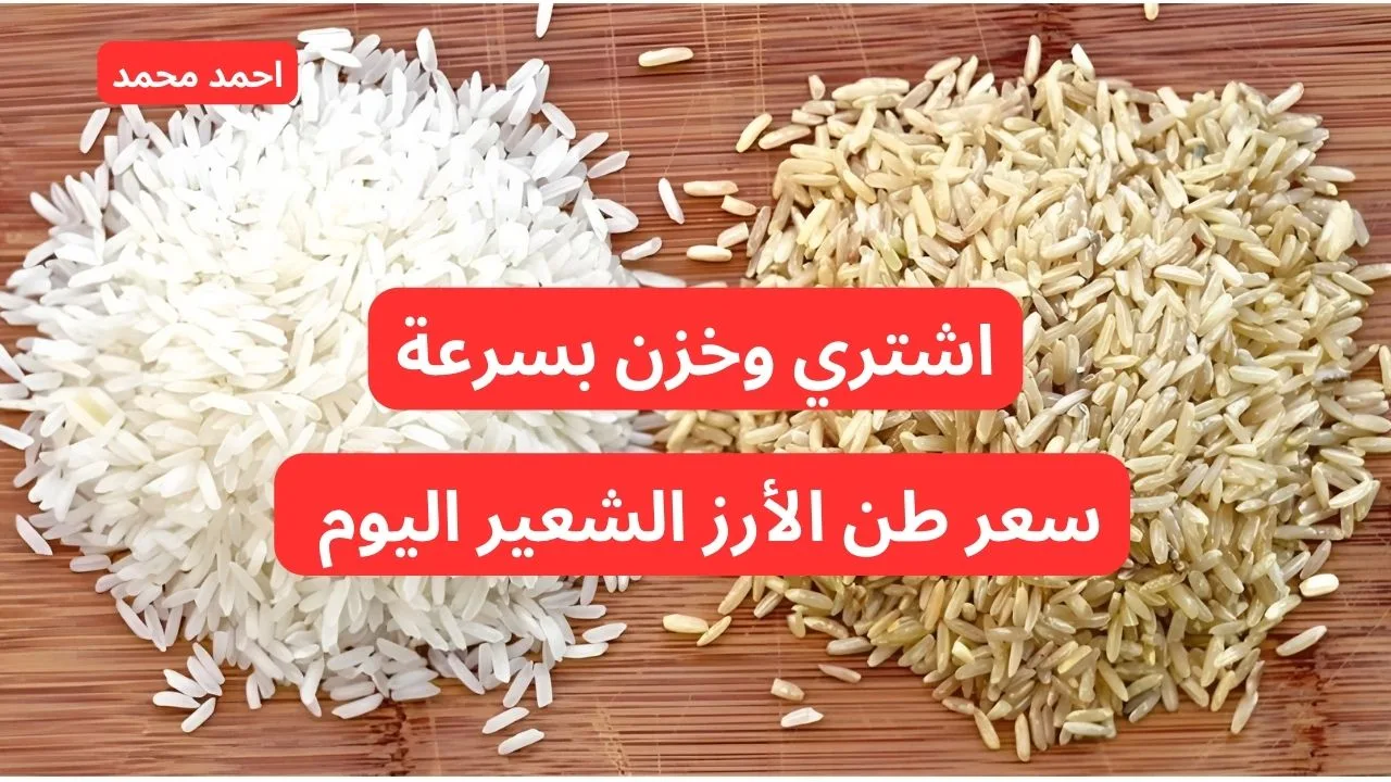 “مفاجأة سارة”.. سعر طن الأرز الشعير اليوم الاثنين 14-10-2024.. أسعار السلع الغذائية