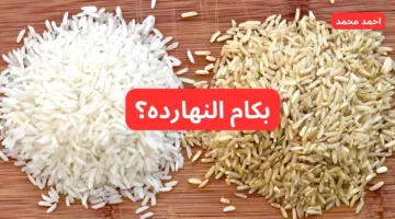 بكام العريض والرفع؟.. سعر طن الأرز الشعير اليوم الثلاثاء 15 أكتوبر 2024 يخالف التوقعات