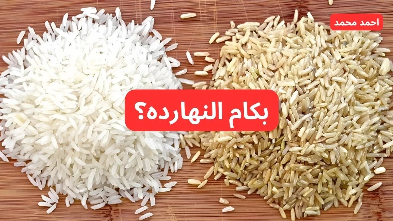 بكام العريض والرفع؟.. سعر طن الأرز الشعير اليوم الثلاثاء 15 أكتوبر 2024 يخالف التوقعات