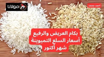 الرفيع والعريض بكام؟.. سعر طن الأرز الشعير اليوم الثلاثاء 8 أكتوبر 2024.. أسعار السلع التموينية لشهر أكتوبر