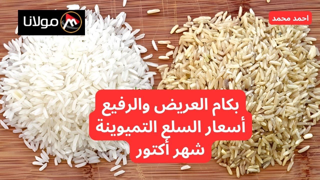 الرفيع والعريض بكام؟.. سعر طن الأرز الشعير اليوم الثلاثاء 8 أكتوبر 2024.. أسعار السلع التموينية لشهر أكتوبر