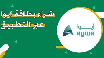 ما خطوات شراء بطاقات أيوا أون لاين بالسعودية 1446 وكم أسعار البطاقات؟