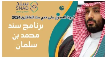 “سجل الان”.. شروط الحصول على دعم سند للعاطلين 2024 وكيفية التسجيل عبر snad.org.sa