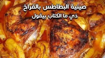 طريقة صينية البطاطس بالفراخ المشوية في الفرن بطعم مميز ومختلفة أكله مشبعة ومثالية للغداء