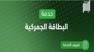 خطوات استعراض البطاقة الجمركية عبر منصة أبشر 1446 والشروط المطلوبة