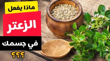 “معجزة الزعتر”.. حط الزعتر في مشروبك بالليل وتشوف إيه اللي هيحصل لجسمك الصبح