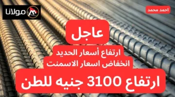 ارتفاع 3100 جنيه مره واحده!!.. قفرة في سعر الحديد اليوم الأحد 12-10-2024.. تراجع أسعار الأسمنت؟