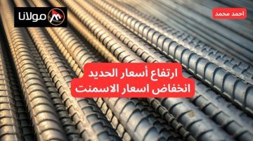 ارتفاع ضخم.. قفزه في سعر الحديد اليوم الثلاثاء 8 أكتوبر.. كم أسعار الأسمنت اليوم؟