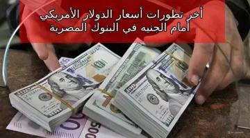 كام أسعار الأخضر النهاردة… اخر التطورات سعر الدولار مقابل الجنية المصري اليوم الأربعاء 16-10-2024 في جميع البنوك المصرية