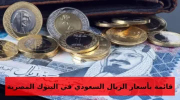 كم أسعار صرف الريال السعودي النهاردة… سعر الريال السعودي مقابل الجنيه المصري اليوم الأربعاء 16-10-2024 في البنوك المصرية