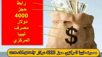 رابط منظومة حجز مصرف ليبيا المركزي 4000 دولار سجل بالاسم الآن