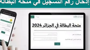 الوكالة الوطنية توضح حقيقة زيادة منحة البطالة بالجزائر 2024 ورفع قيمة الدعم إلى 5000 دينار