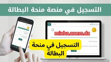 كيفية التسجيل في منحة البطالة الجزائر 2024 من خلال رابط الوكالة الوطنية للتشغيل anem.dz