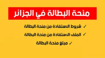 الوكالة الوطنية للتشغيل تكشف.. خطوات التسجيل فى منحة البطالة بالجزائر 2024 وشروط التسجيل المطلوبة