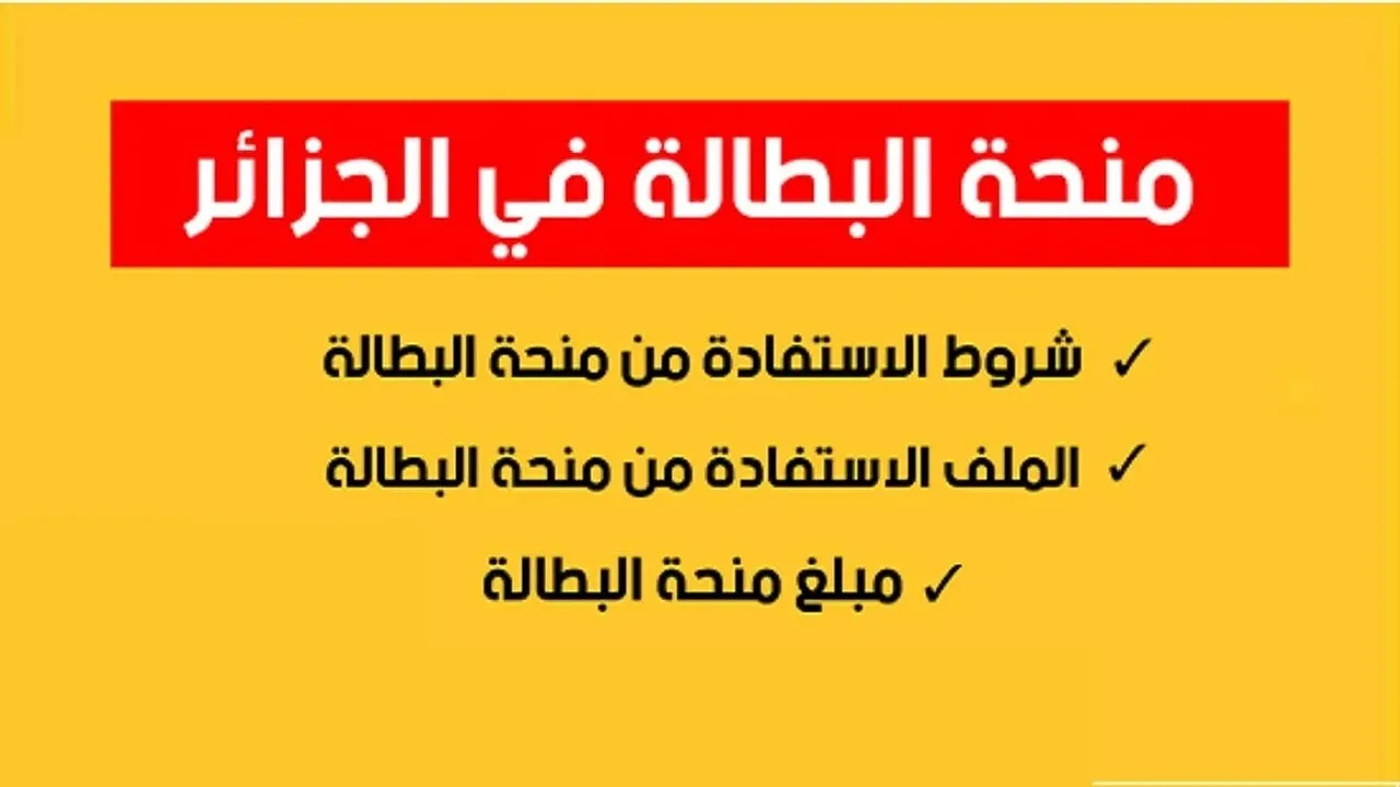 الوكالة الوطنية للتشغيل تكشف.. خطوات التسجيل فى منحة البطالة بالجزائر 2024 وشروط التسجيل المطلوبة