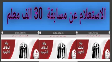 عاجل.. ظهرت الآن نتيجة مسابقة المعلمين 2024 عبر الموقع الرسمي لـ بوابة الوظائف الحكومية