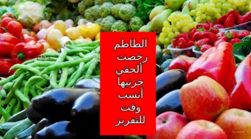 وصلت كام الأوطة النهاردة في السوق… ألحق خزن قائمة أسعار الفواكه والخضروات اليوم الأحد 13-10-2024 في الأسواق 