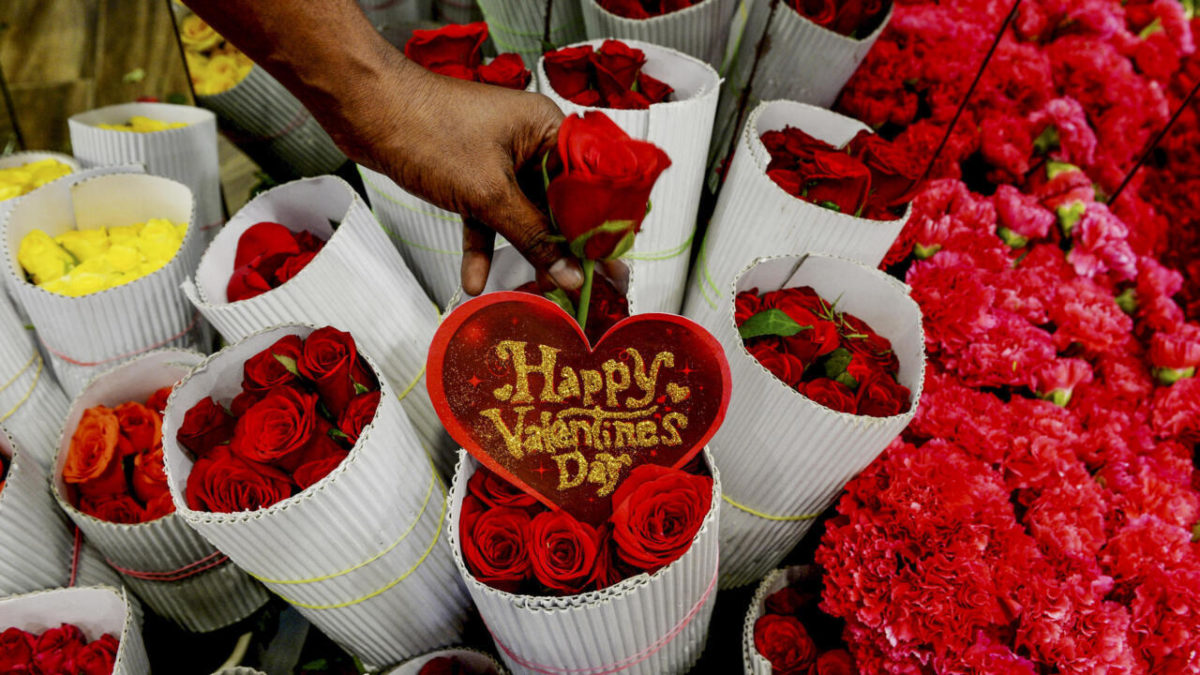 “أجمل عبارات التهنئة” موعد عيد الحب المصري valentine day 2024 ومظاهر الاحتفال به.. هل 4 نوفمبر عيد الحب؟