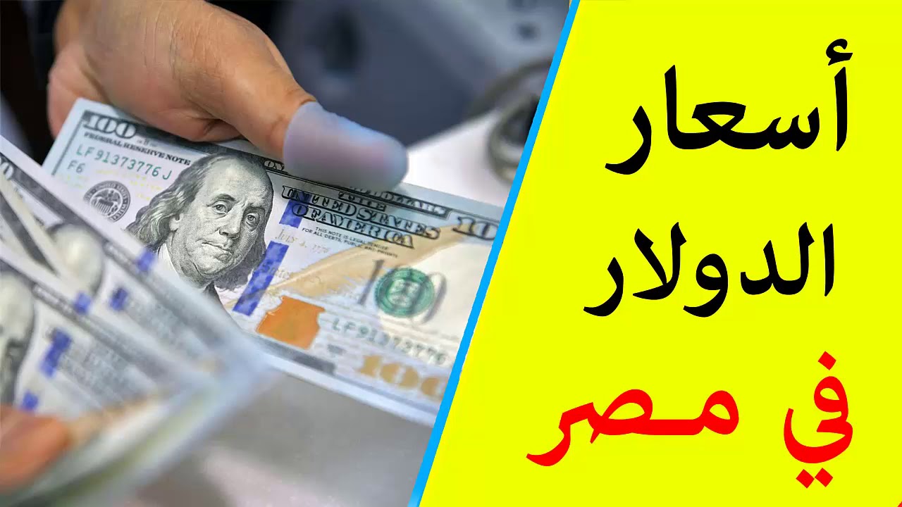 100 دولار كم جنيه مصري؟.. سعر الدولار اليوم الأربعاء 6 نوفمبر 2024 للشراء والبيع في كافة البنوك