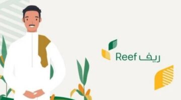 استعلام عن دعم ريف من خلال reef.gov.sa وماهي شروط القبول في البرنامج ؟