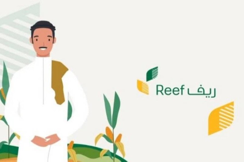 استعلام عن دعم ريف من خلال reef.gov.sa وماهي شروط القبول في البرنامج ؟