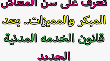 اخر تعديلات المعاش المبكر لمواليد الثمانينات.. فتح باب تسوية المعاش بداية من يناير 2025