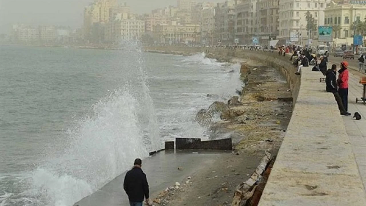 تعطيل الدراسة غداً في الاسكندرية بسبب سوء الاحوال الجوية.. مديرية التربية والتعليم تُوضح