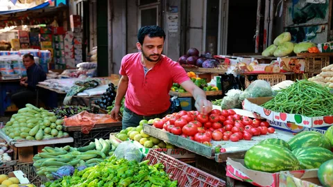 جدول اسعار الخضار اليوم بالكيلو الاربعاء الموافق 2024/11/6 للمستهلك وتجار التجزئة في الاسواق