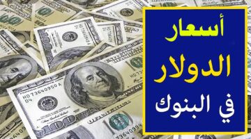 سعر الدولار اليوم البنك الأهلي الاثنين 4-11-2024 وجميع البنوك وشركات الصرافة