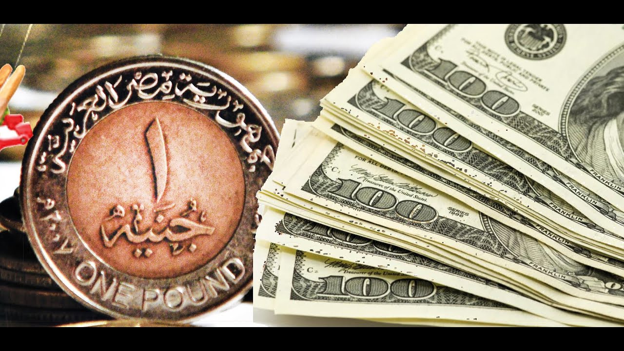 سعر الدولار اليوم مقابل الجنيه المصري الثلاثاء 5-11-2024 في جميع البنوك المصرية.. أخر تحديث