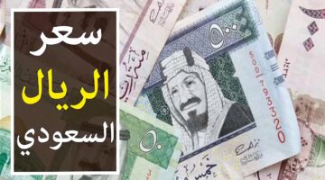 سعر الريال السعودي اليوم في البنك الأهلي الثلاثاء 5 أكتوبر 2024 بمنتصف التعاملات