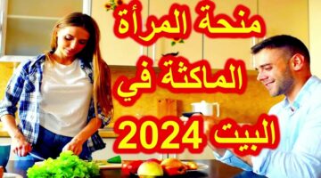 الوكالة الوطنية تعلن.. التسجيل في منحة المرأة الماكثة في المنزل 2024 وشروط التسجيل