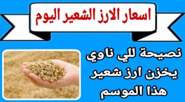 “رفيع وعريض الحبة” سعر طن الأرز الشعير اليوم الاثنين 4-11-2024 للمستهلك في مصر وأسعار السلع الاساسية