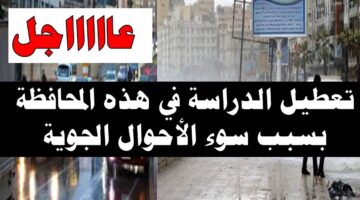 حقيقة تعطيل الدراسة غداً في الاسكندرية.. وفقا لبيان مديرية التربية والتعليم بالإسكندرية